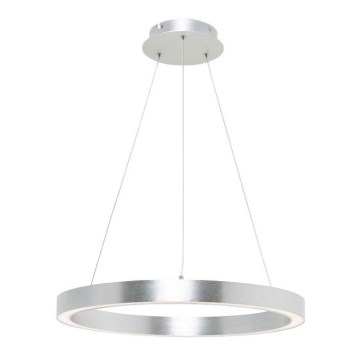 Zuma Line - LED Żyrandol na lince LED/30W/230V śr. 40 cm srebrny