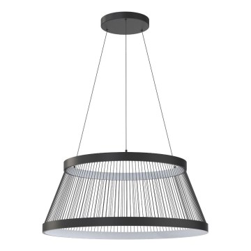 Zuma Line - LED Żyrandol ściemnialny na lince LED/53W/230V 2700-6000K czarny + zdalne sterowanie