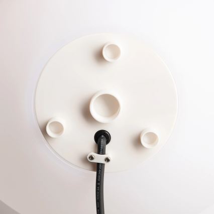 Zuma Line - Lampa zewnętrzna 1xE27/10W/230V śr. 20 cm IP44