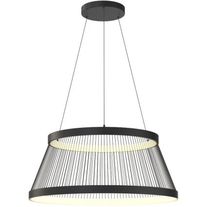 Zuma Line - LED Żyrandol ściemnialny na lince LED/53W/230V 2700-6000K czarny + zdalne sterowanie