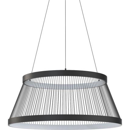 Zuma Line - LED Żyrandol ściemnialny na lince LED/53W/230V 2700-6000K czarny + zdalne sterowanie