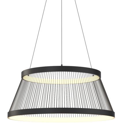 Zuma Line - LED Żyrandol ściemnialny na lince LED/53W/230V 2700-6000K czarny + zdalne sterowanie