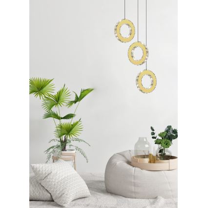 Zuma Line - ściemnialna lampa wisząca LED na linkach LED/10W/230V złota