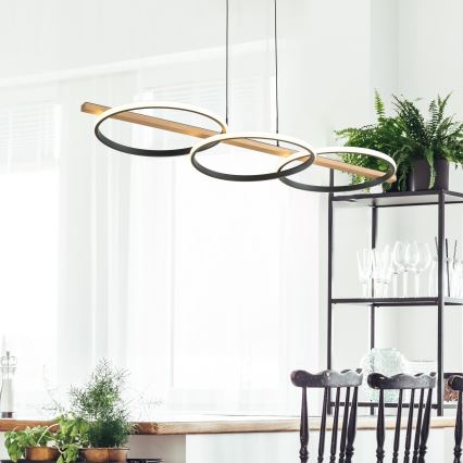 Zuma Line - LED Żyrandol ściemnialny na lince LED/35W/230V