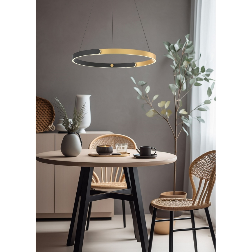 Zuma Line - LED Żyrandol ściemnialny na lince LED/30W/230V czarny/złoty