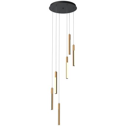 Zuma Line - Regulowany żyrandol LED na linkę LED/25W/230V