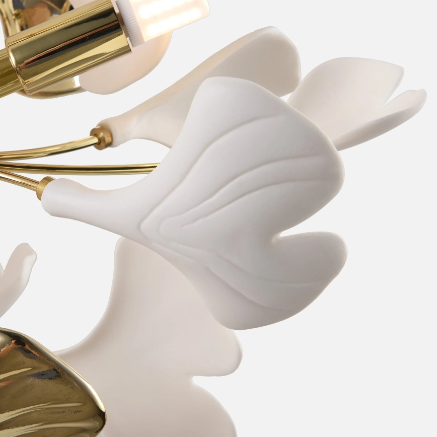 Zuma Line - Przysufitowy żyrandol 6xG9/42W/230V, średnica 70 cm, złoty