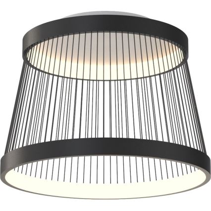 Zuma Line - LED Plafon ściemnialny LED/32W/230V 2700-6000K czarny + zdalne sterowanie