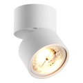 Zuma Line - Oprawa punktowa 1xGU10-ES111/15W/230V biała