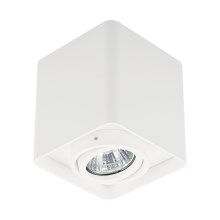 Zuma Line - Oświetlenie punktowe 1xGU10/50W/230V białe