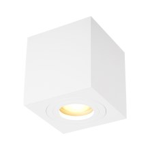 Zuma Line - Oświetlenie punktowe 1xGU10/50W/230V białe