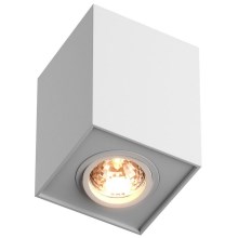 Zuma Line  - Oświetlenie punktowe 1xGU10/50W/230V biały