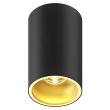 Zuma Line - Oświetlenie punktowe 1xGU10/50W/230V czarne/złoty