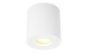 Zuma Line - Oświetlenie punktowe 1xGU10/50W/230V IP44 białe