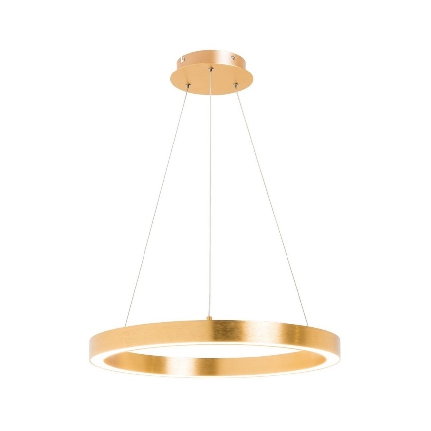 Zuma Line - LED Żyrandol na lince 1xLED/40W/230V śr. 50 cm złoty