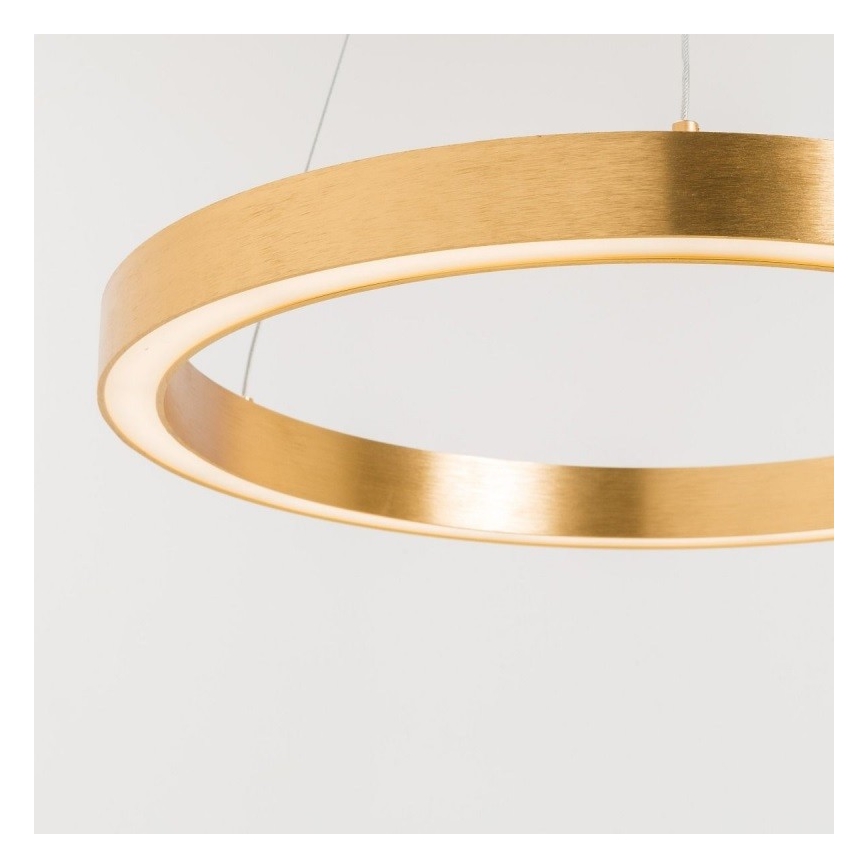 Zuma Line - LED Żyrandol na lince 1xLED/40W/230V śr. 50 cm złoty