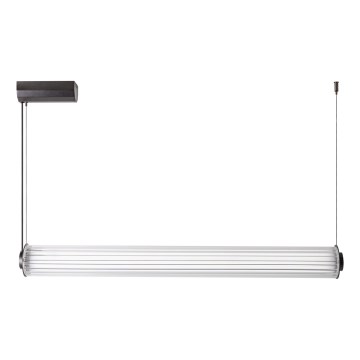 Zuma Line - ściemnialny żyrandol wiszący na lince LED/39W/230V 2700-6500K czarny + pilot zdalnego sterowania