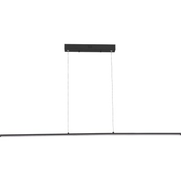 Zuma Line - Żyrandol LED na linkach LED/20W/230V czarny