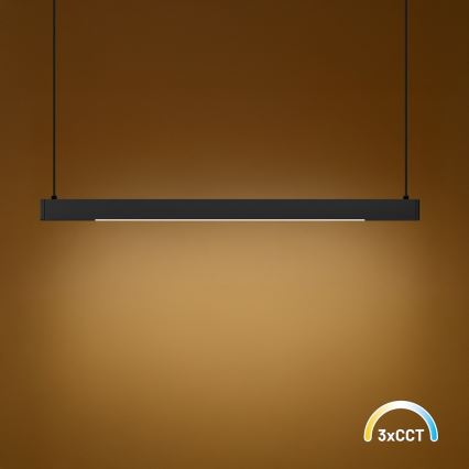 Żyrandol LED na lince LINEA LED/36W/230V 3000/4000/5700K CRI 90 czarny