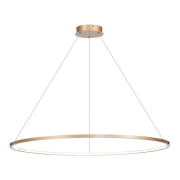 Żyrandol LED na linkach SATURNO LED/65W/230V śr. 120 cm IP44 złoty