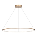 Żyrandol LED na linkę SATURNO LED/57W/230V śr. 100 cm IP44 złoty