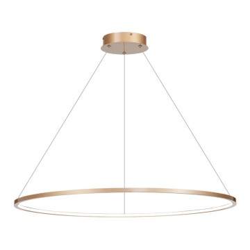 Żyrandol LED na linkę SATURNO LED/57W/230V śr. 100 cm IP44 złoty