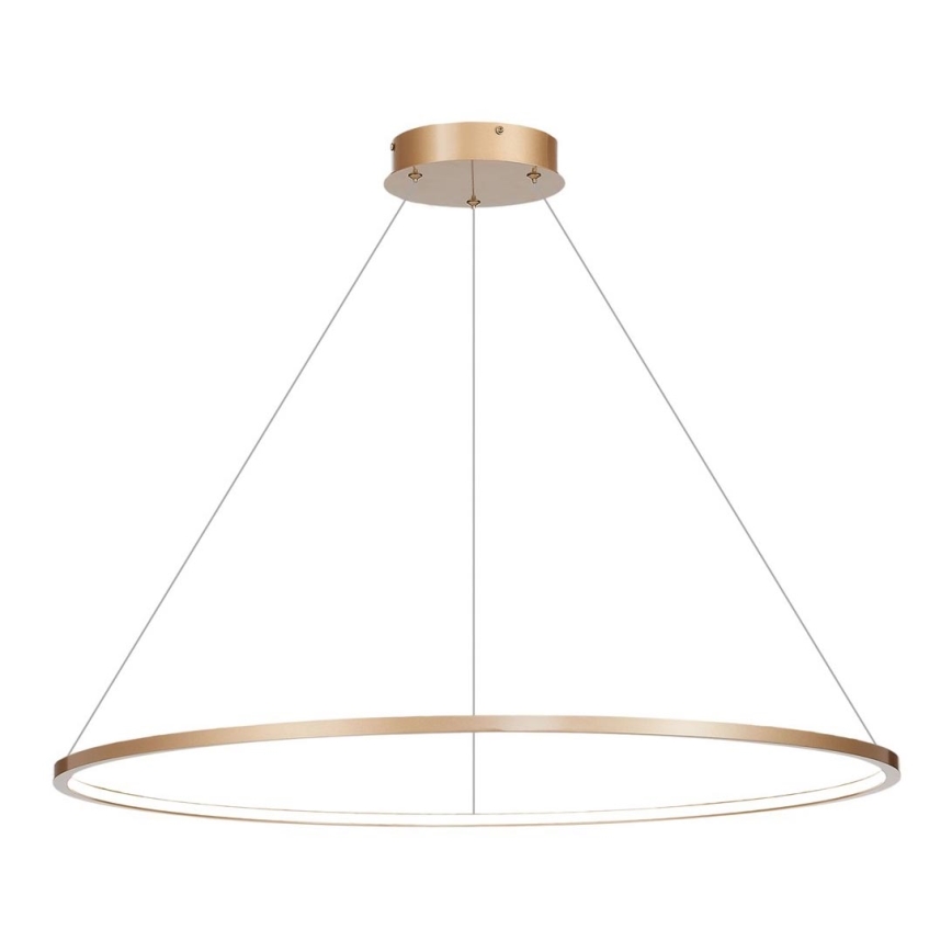 Żyrandol LED na linkę SATURNO LED/57W/230V śr. 100 cm IP44 złoty