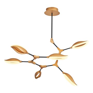 Żyrandol LED na pręcie ASTI 6xLED/7W/230V 3000K złoty