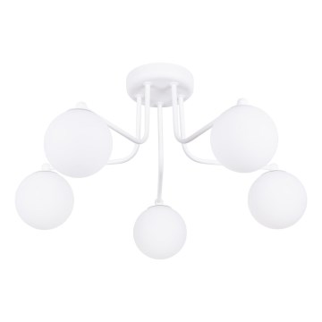 Żyrandol na drążku ASTRAL 5xG9/8W/230V biały