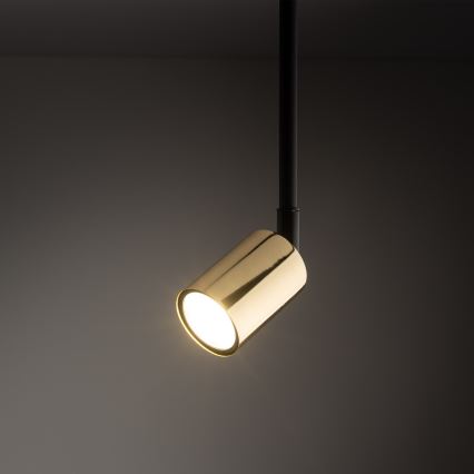 Żyrandol na drążku do 1-fazowego systemu szynowego TOP 1xGU10/10W/230V złoty/czarny