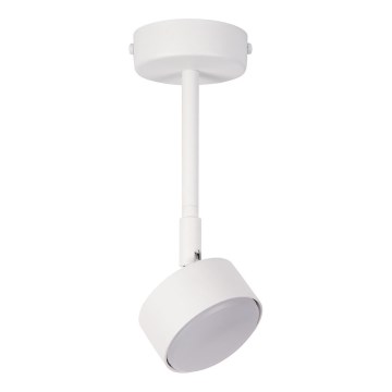 Żyrandol na drążku NEMO 1xGX53/12W/230V 24 cm biały