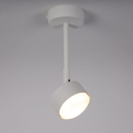 Żyrandol na drążku NEMO 1xGX53/12W/230V 24 cm biały
