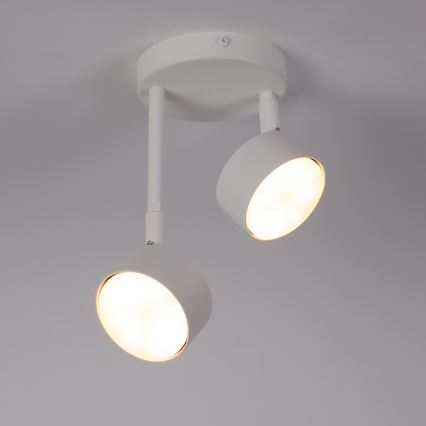 Żyrandol na drążku NEMO 2xGX53/12W/230V biały