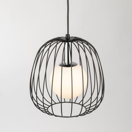 Żyrandol na lince BELL 1xG9/12W/230V śr. 24 cm czarny/chrom błyszczący