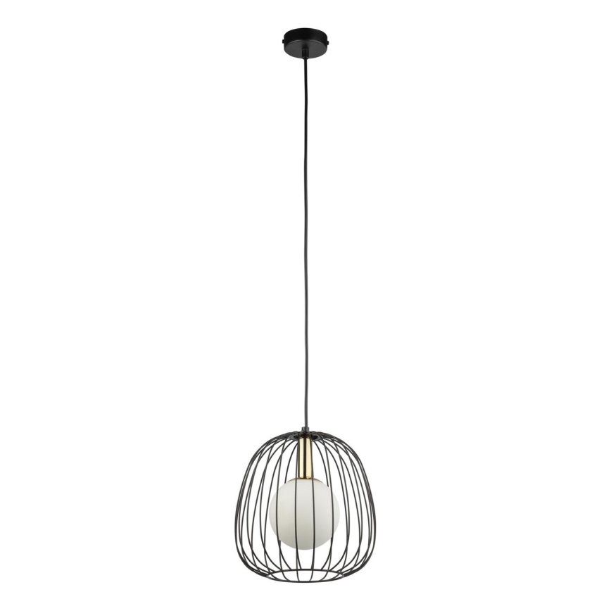 Żyrandol na lince BELL 1xG9/12W/230V śr. 24 cm czarny/złoty