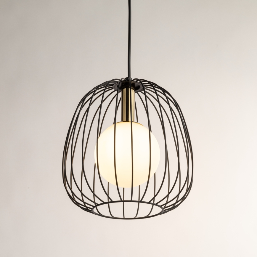 Żyrandol na lince BELL 1xG9/12W/230V śr. 24 cm czarny/złoty