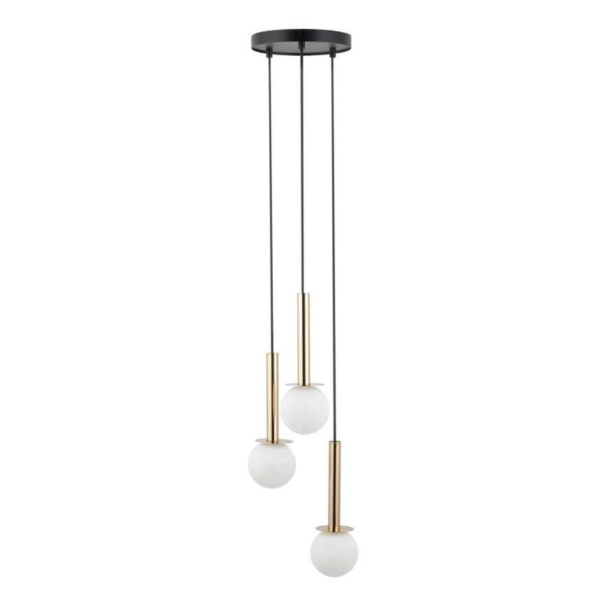 Żyrandol na lince DAISY 3xG9/12W/230V śr. 27 cm złoty/czarny/biały