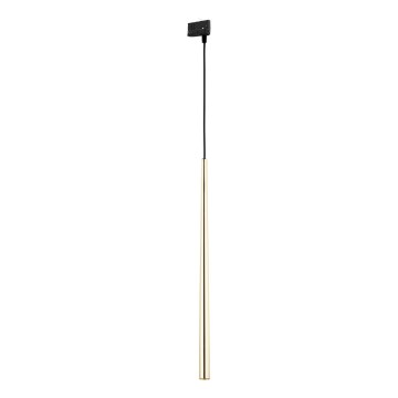 Żyrandol na lince do 3-fazowego systemu szynowego PIANO 1xG9/8W/230V złoty/czarny