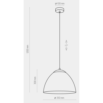 Żyrandol na lince FARO 1xE27/60W/230V czarny