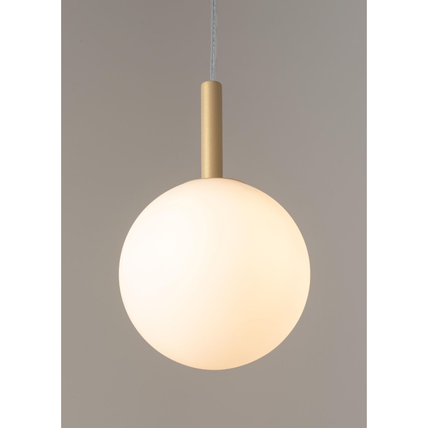 Żyrandol na lince GAMA 1xG9/12W/230V złoty