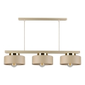 Żyrandol na lince IGNIA 3xE27/60W/230V beżowy