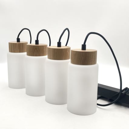 Żyrandol na lince MARKUS 4xE27/15W/230V czarny/dąb