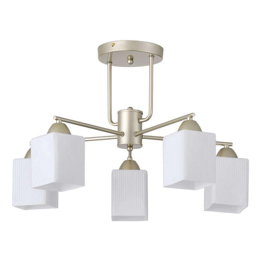 Żyrandol natynkowy 5xE27/60W/230V