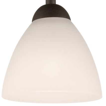 Żyrandol natynkowy ADRIANO 1xE27/60W/230V buk