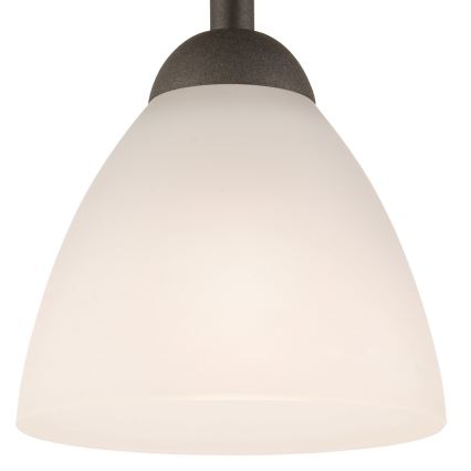Żyrandol natynkowy ADRIANO 1xE27/60W/230V buk