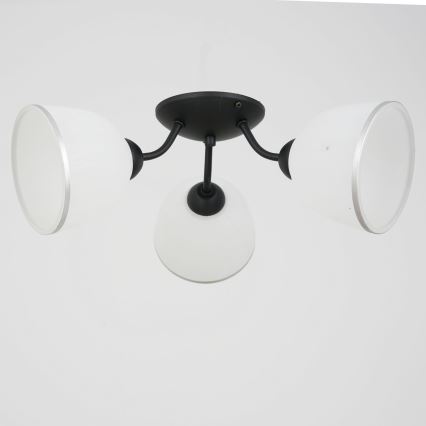 Żyrandol natynkowy AVIA 3xE27/15W/230V