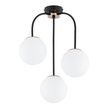 Żyrandol natynkowy GAMMA 3xE14/10W/230V czarny/złoty