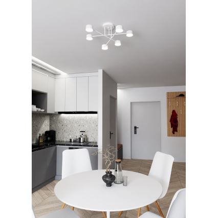 Żyrandol natynkowy HALO 6xGX53/8W/230V biały