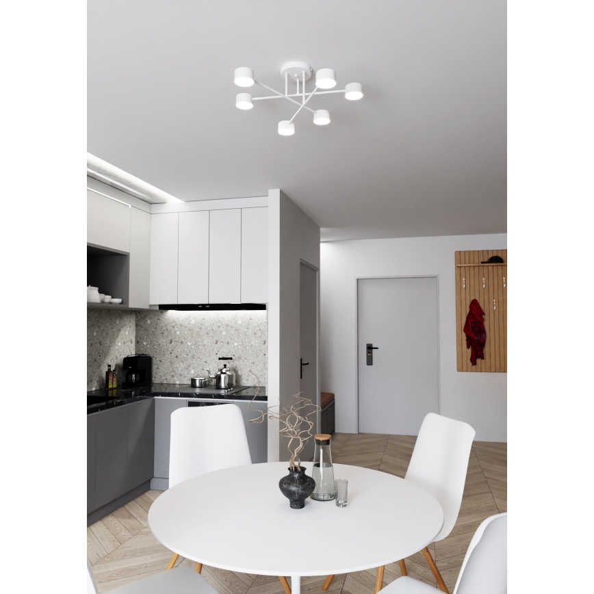 Żyrandol natynkowy HALO 6xGX53/8W/230V biały