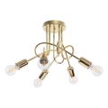 Żyrandol natynkowy LOOP 5xE27/15W/230V złoty